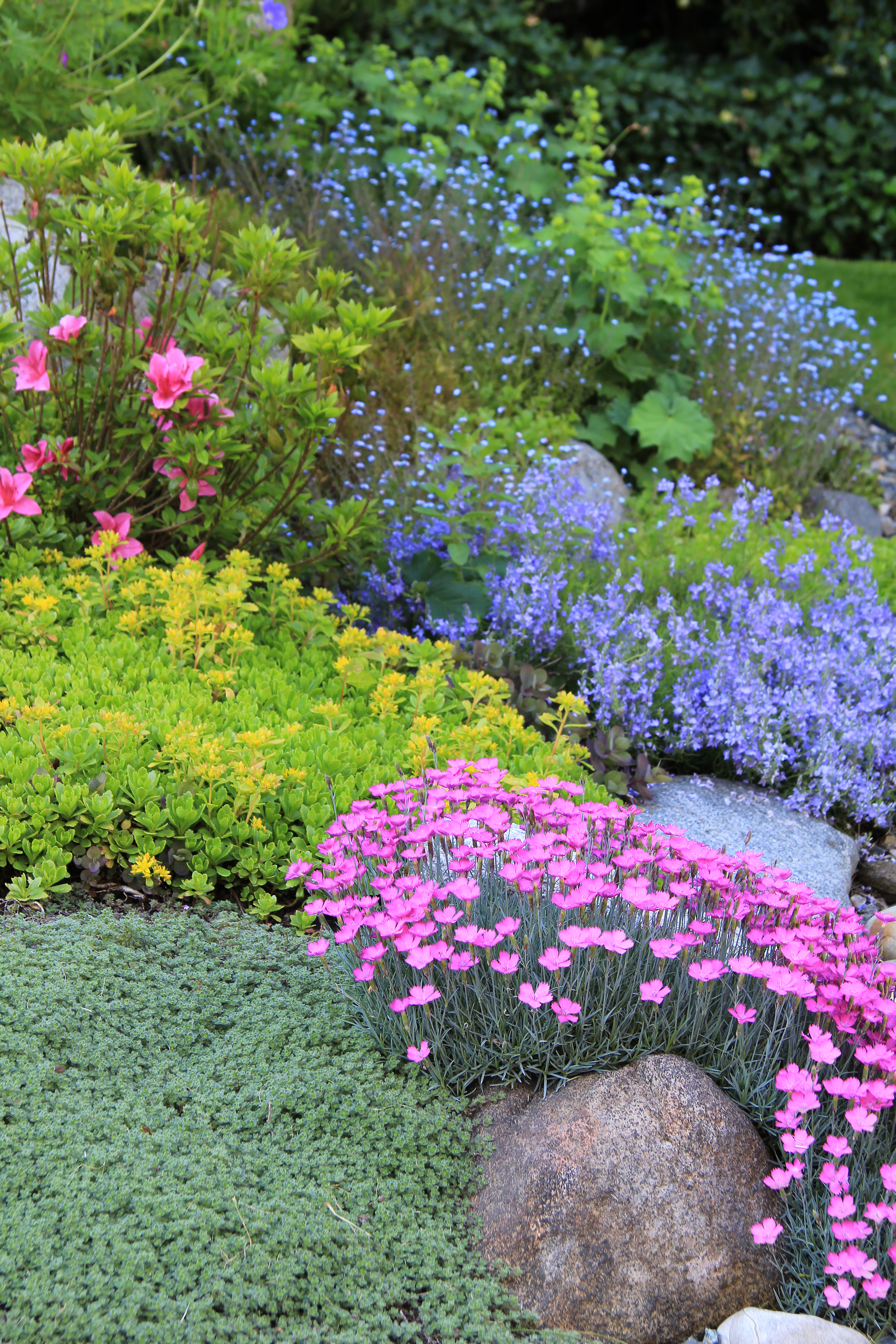 Landscaping Ideas for NY, CT, PA, NJ, Pavers
