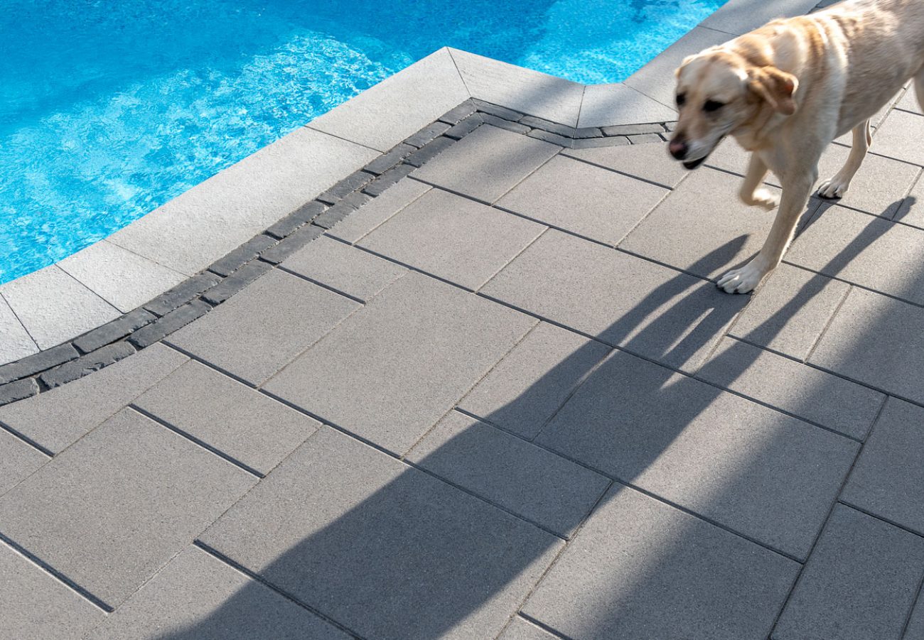 Dog Walking on Unilock Pool Deck with Pool Coping