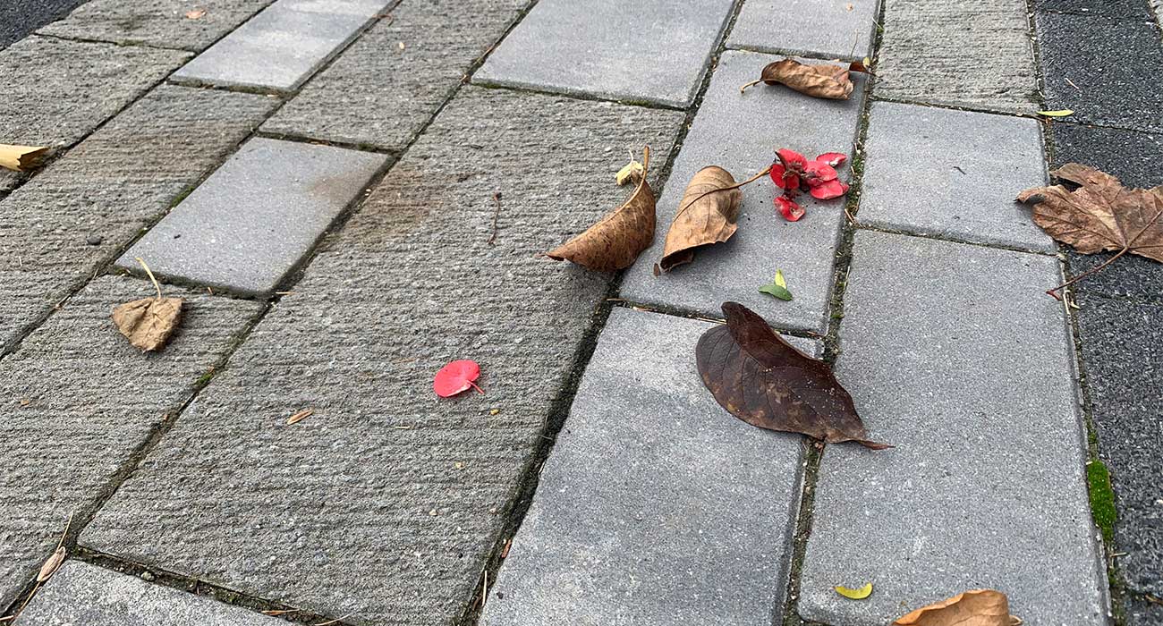 How to remove leaf stains from pavers   Unilock