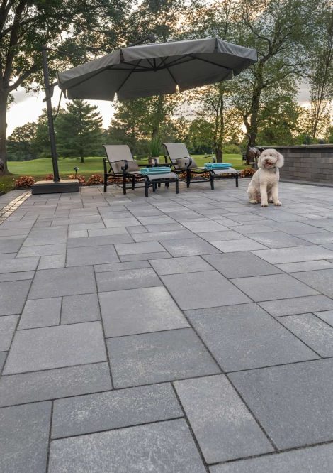 Dog sitting on Unilock Paver Patio with Boarders and Retaining Wall