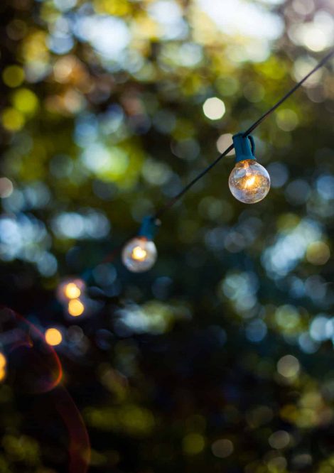 Close up of Hanging Lights with Greenery in Background
