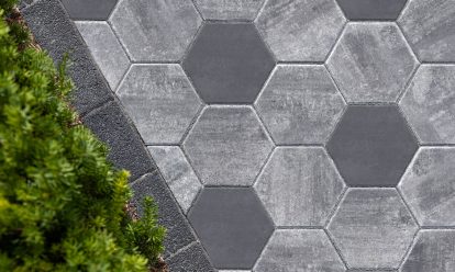 An image of a grey hexagonal paver with a tree in the background.