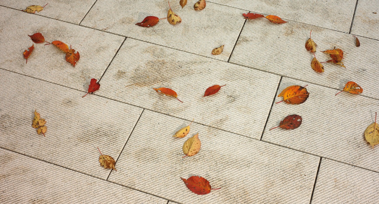 Cleaning leave stains off pavers