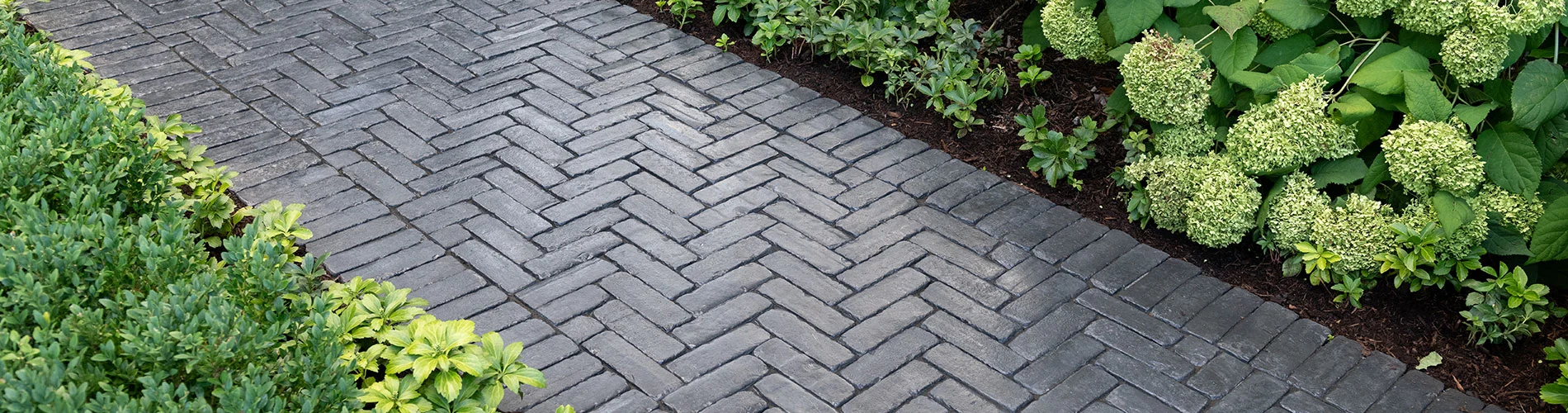 Elegance paver walkway