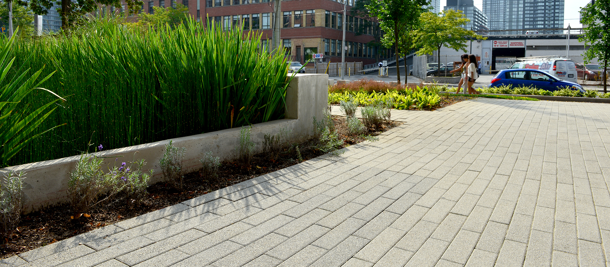 Unilock Promenade Plank pavers in a speckled Umbriano finish create a plaza and sidewalk with gardens around it.