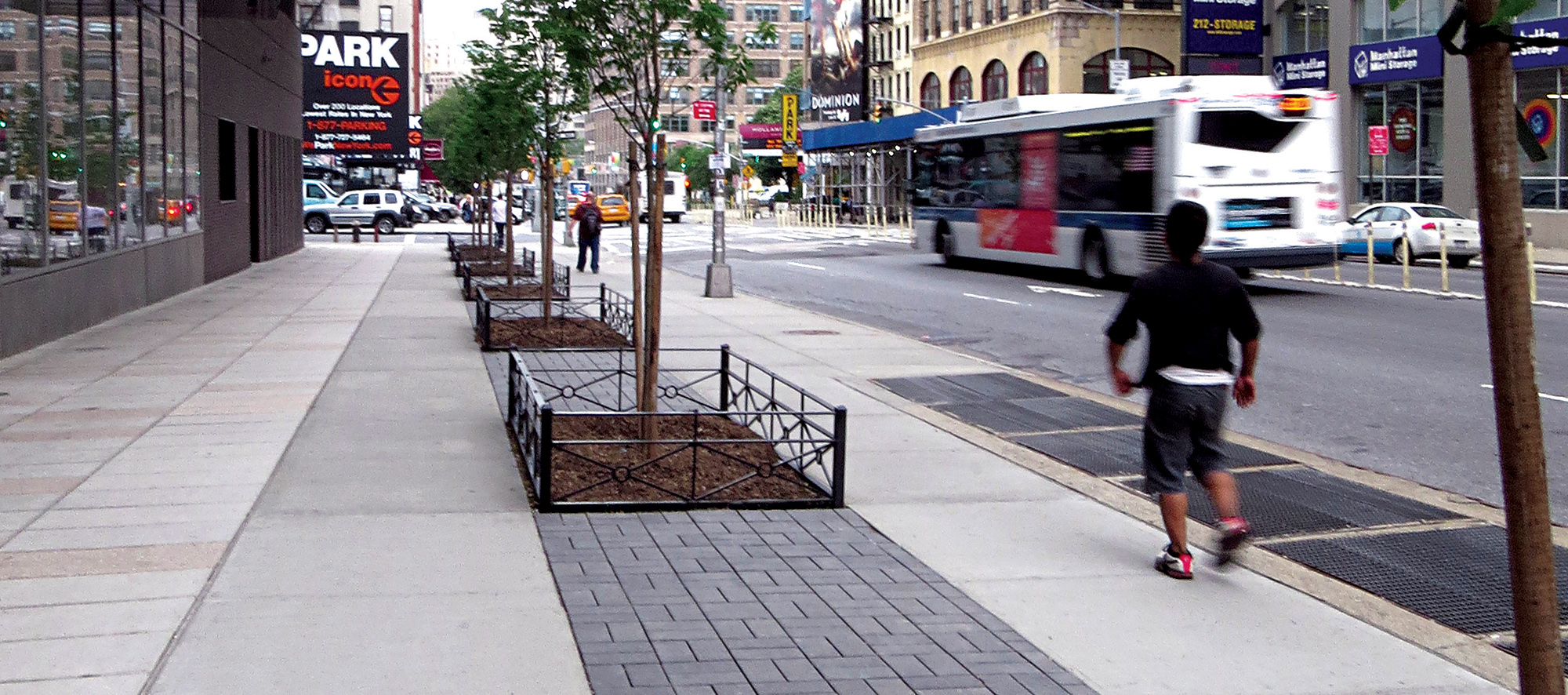 Tree islands disrupt dark grey Eco-Priora pavers along the walkway, as a pedestrian and a bus pass nearby.
