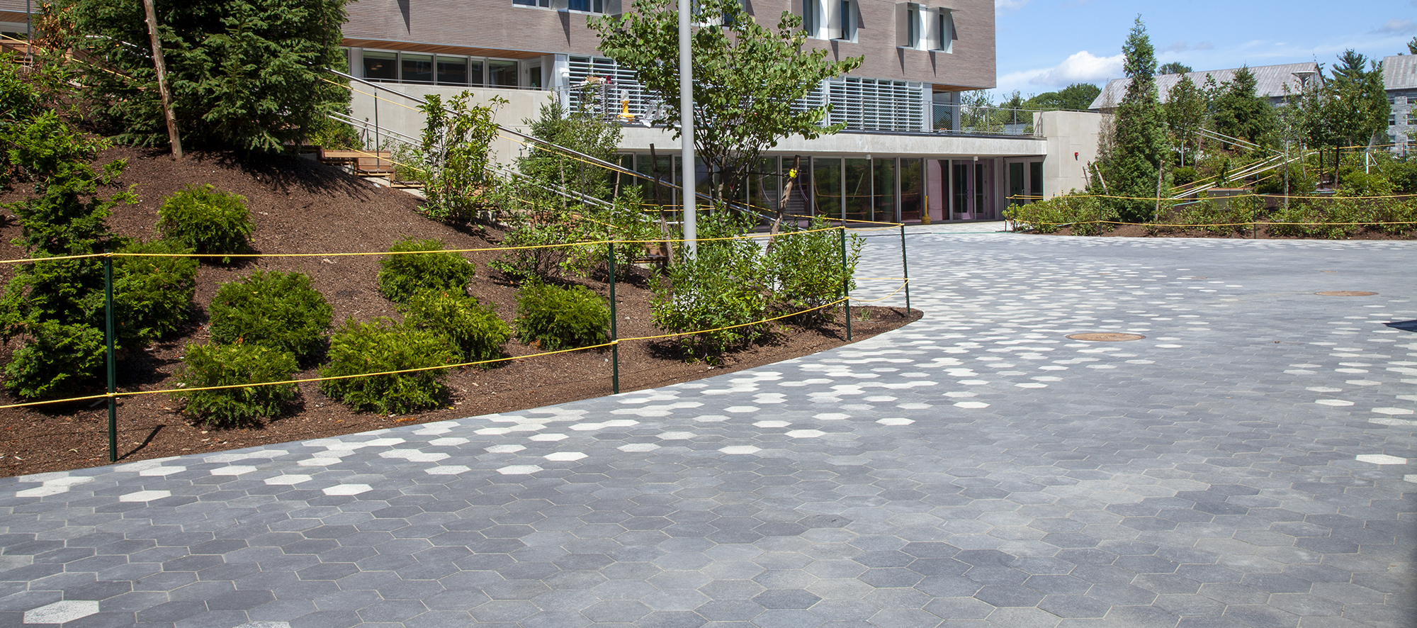Two-toned hexagon shaped City Park Pavers in a pixelated pattern, surrounded by shrub bushes adding touches of natural color.