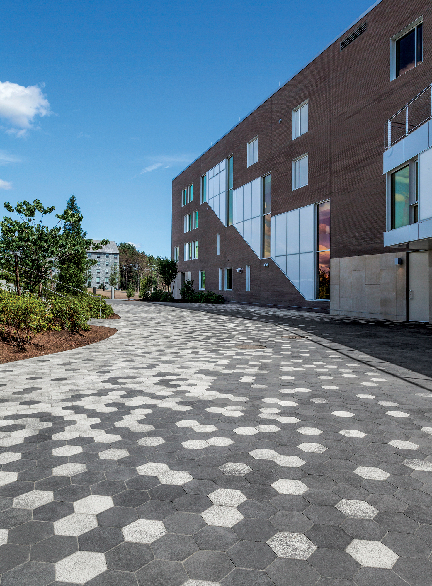 Two-toned hexagon shaped City Park Pavers in a  pixelated pattern, surrounded by shrub bushes adding touches of natural color.