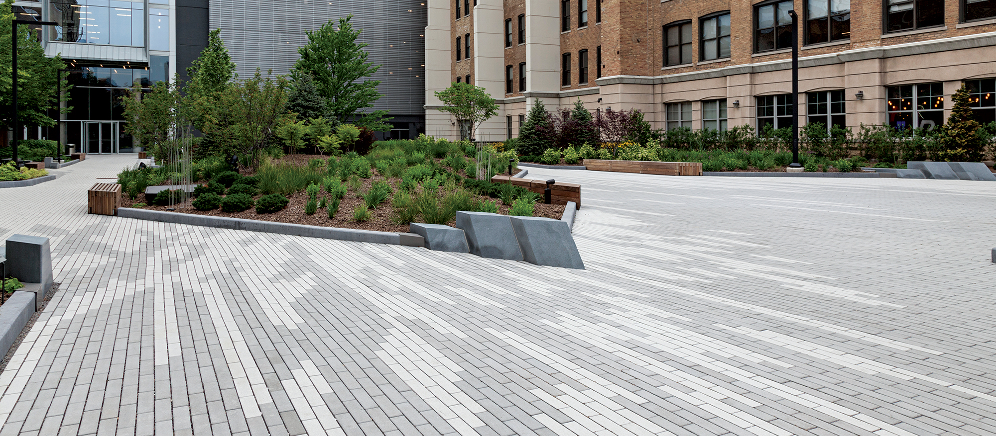 Flanked by garden beds is a sea of Eco-Promenade pavers, transitioning from white to grey as they part in two around a garden island.